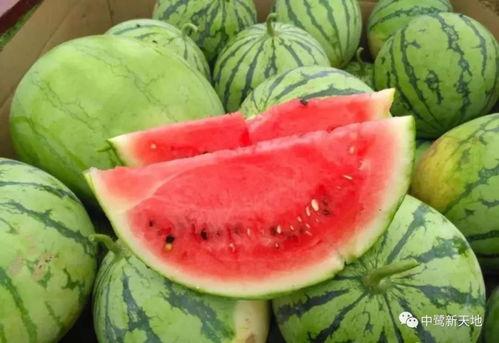 回家吃瓜网,揭秘娱乐圈幕后故事,带你走进明星私生活