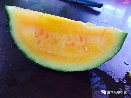 回家吃瓜网,揭秘娱乐圈幕后故事,带你走进明星私生活