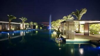 万科城吃瓜,吃瓜群众揭秘社区生活点滴