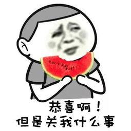 吃瓜群众小野哥,揭秘娱乐圈那些事儿