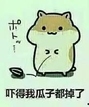 吃瓜没风险视频,揭秘“吃瓜没风险”视频背后的真相与笑料