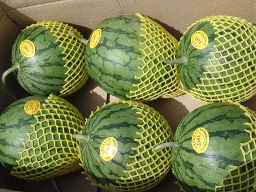 随时准备吃瓜,揭秘随时准备吃瓜的幕后故事