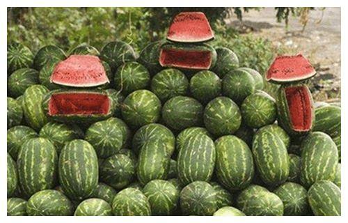 吃瓜杀瓜,揭秘娱乐圈的甜蜜陷阱与残酷真相