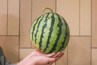 吃瓜杀瓜,揭秘娱乐圈的甜蜜陷阱与残酷真相