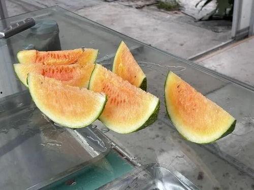 瓦舍吃瓜,揭秘古代市井生活的趣味与智慧