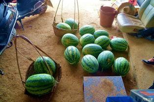 田橙吃瓜,揭秘娱乐圈背后的那些事儿