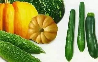 夹心小瓜可以吃吗,美味与健康的双重享受