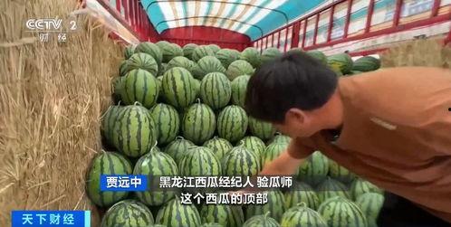 成都青白江吃瓜