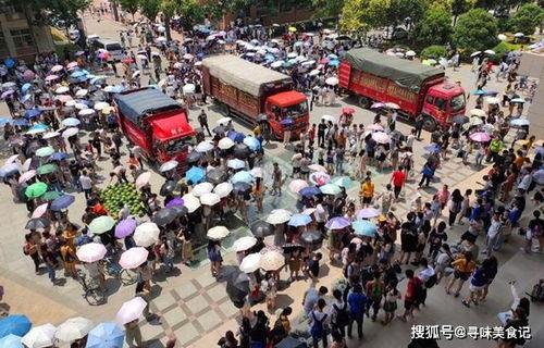 各大高校吃瓜视,揭秘校园里的那些“吃瓜”瞬间