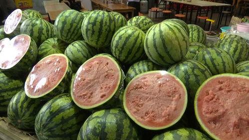 平邑吃瓜富贵元,探寻瓜果中的财富密码