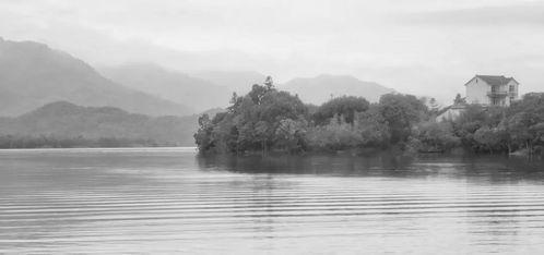 未名湖吃瓜,一场校园文化的狂欢