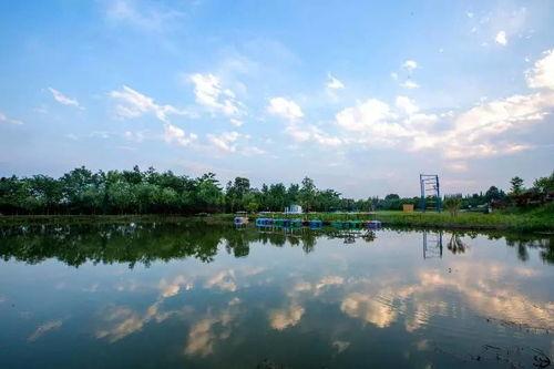 未名湖吃瓜,一场校园文化的狂欢